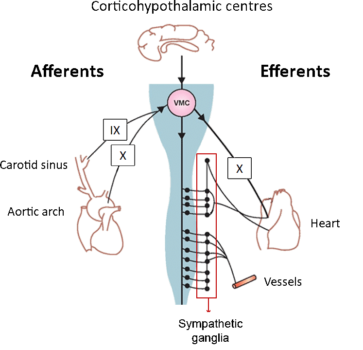 vascular_insufficiency_1.png