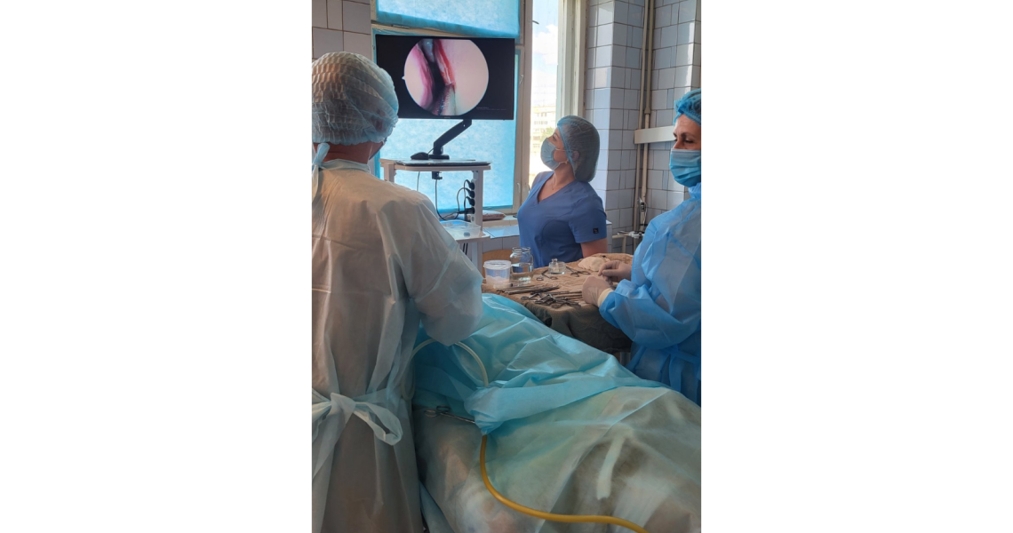 На кафедрі оториноларингології з офтальмологією розпочав роботу додатковий цикл тематичного удосконалення «Сучасні ендоскопічні технології в отоларингології» для лікарів-отоларингологів