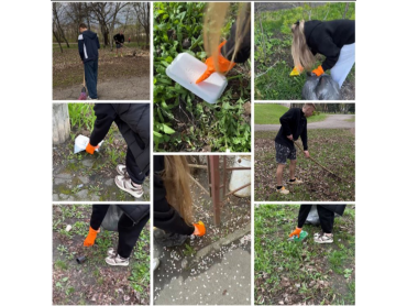 У ПДМУ провели просвітницькі та практичні заходи до Всесвітнього дня Землі / Educational and Practical Activities Held at PSMU on the Occasion of Earth Day