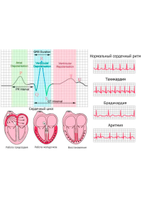 «Практична електрокардіографія: як «читати» ЕКГ?" – тема засідання СНТ