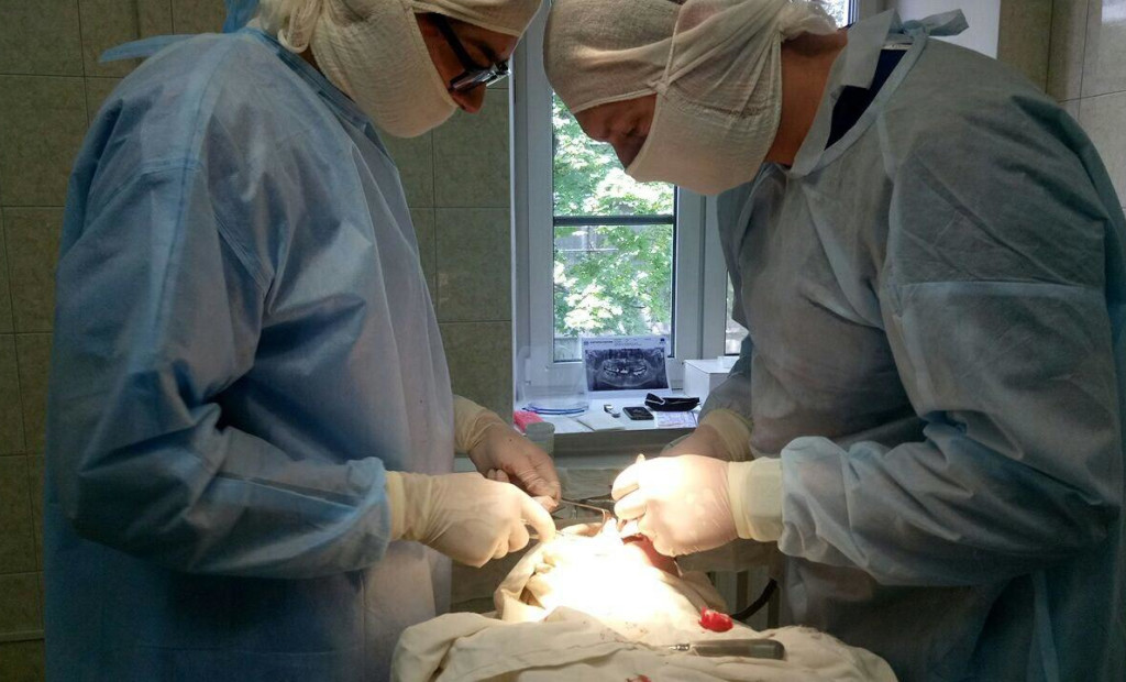 Оперують к. мед. наук Дмитро Стебловський та лікар-інтерн УМСА Микита Нелюбін