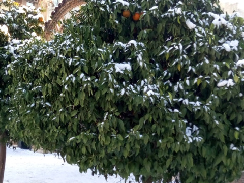 Відгук учасниці програми Erasmus+  Денисенко Аліни