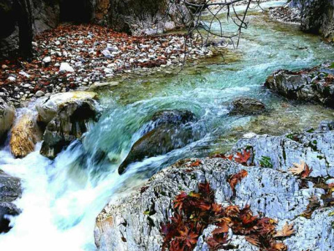 Відгук учасниці програми Erasmus+  Денисенко Аліни