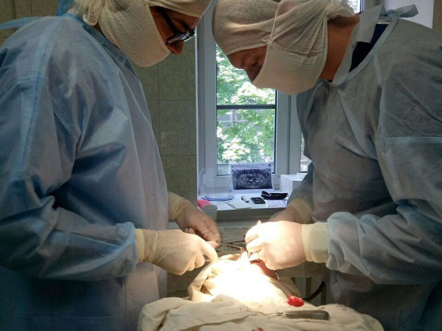 Оперують к. мед. наук Дмитро Стебловський та лікар-інтерн УМСА Микита Нелюбін