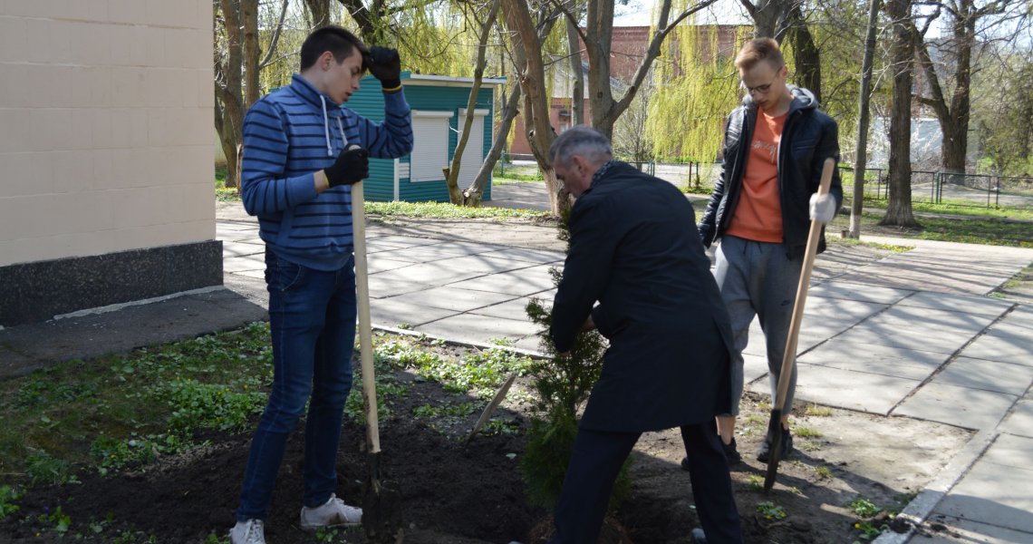 Нова алея висаджених туй