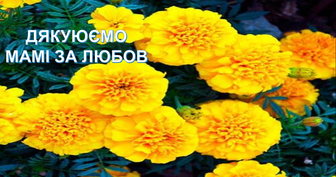 «Перекличка»: активне спілкування у форматі онлайн на актуальні теми продовжується