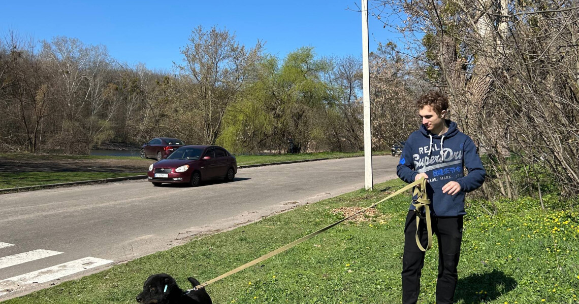 Турбота, що лікує: волонтери «Almino» СП ПДМУ подарували радість чотирилапим друзям із притулку