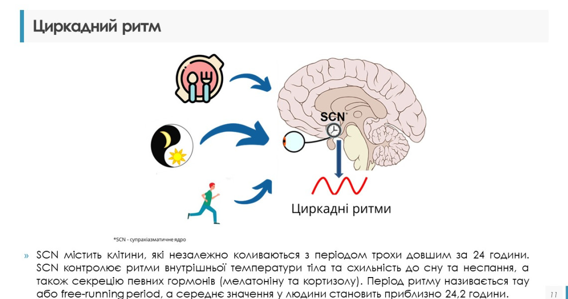 Достатній час для сну – необхідні умови для збереження фізичного та психічного здоров’я: обговорення триває