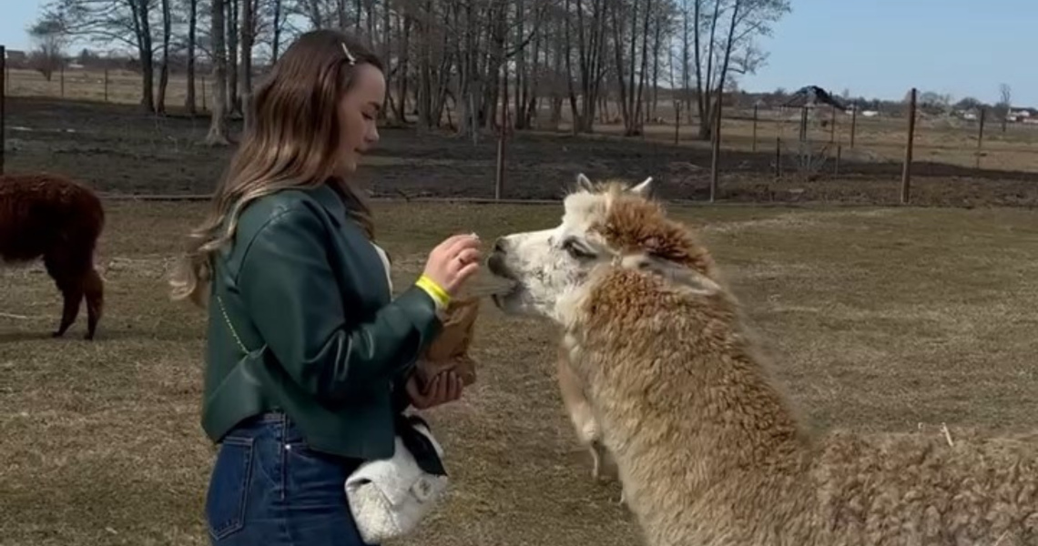 Екологічна свідомість і командний дух: поїздка студентів ПДМУ до «Екопарку Ковалівка» / Environmental Awareness and Team Spirit: PSMU Students Visit “Kovalivka Ecopark”