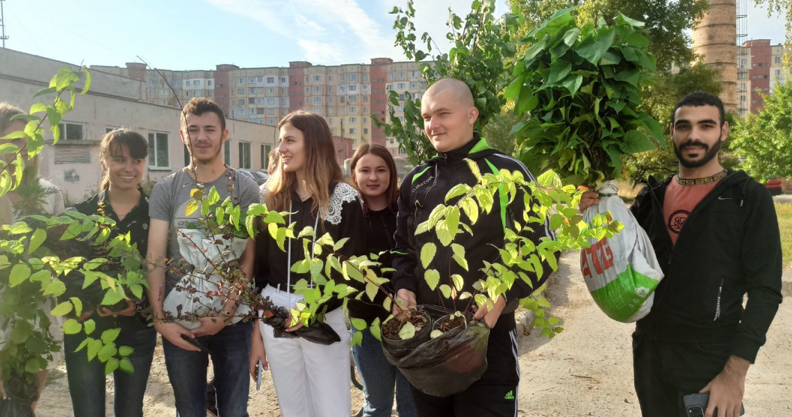 Зазеленіють навесні молоді деревця, посаджені до Дня миру сьогодніі