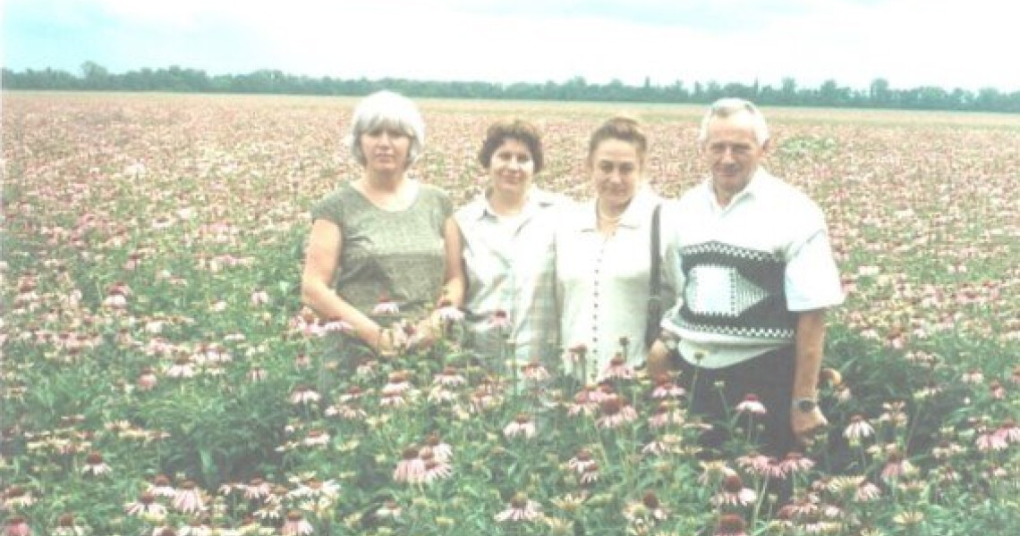 Від Чорнобиля до сучасної профілактичної медицини: науковий досвід професора ПДМУ Вікторії Почерняєвої