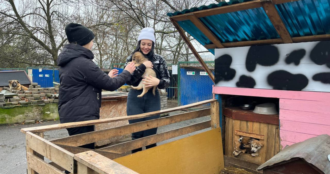 «Дай лапу, Друже!» - приклад гідний наслідування / "Give a Paw, Friend!": an Example Worth Following