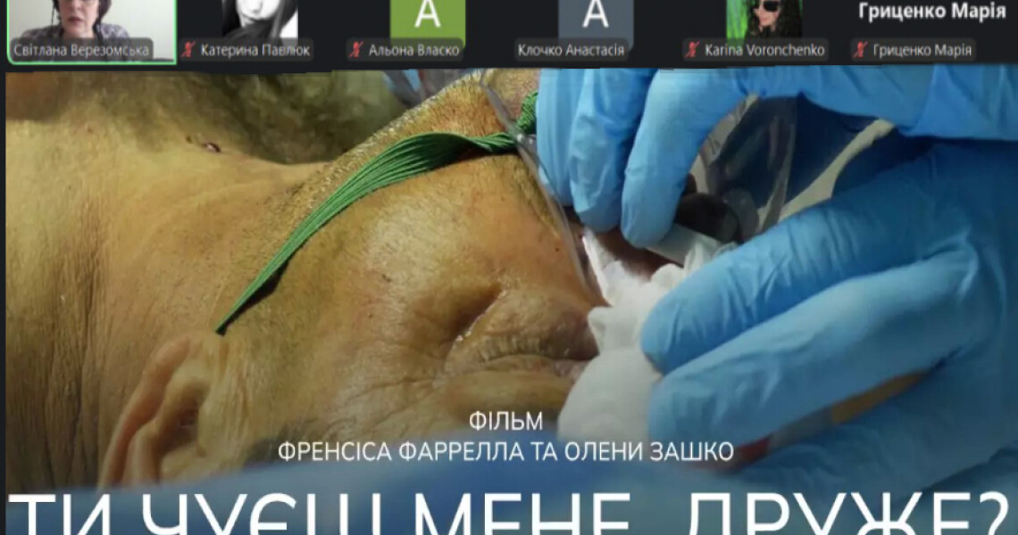До Дня українського кіно: здобувачі освіти ПДМУ говорили про історію та сучасність кінематографа / On Ukrainian Cinema Day: PSMU Students Discussed the History and Present of Cinematography