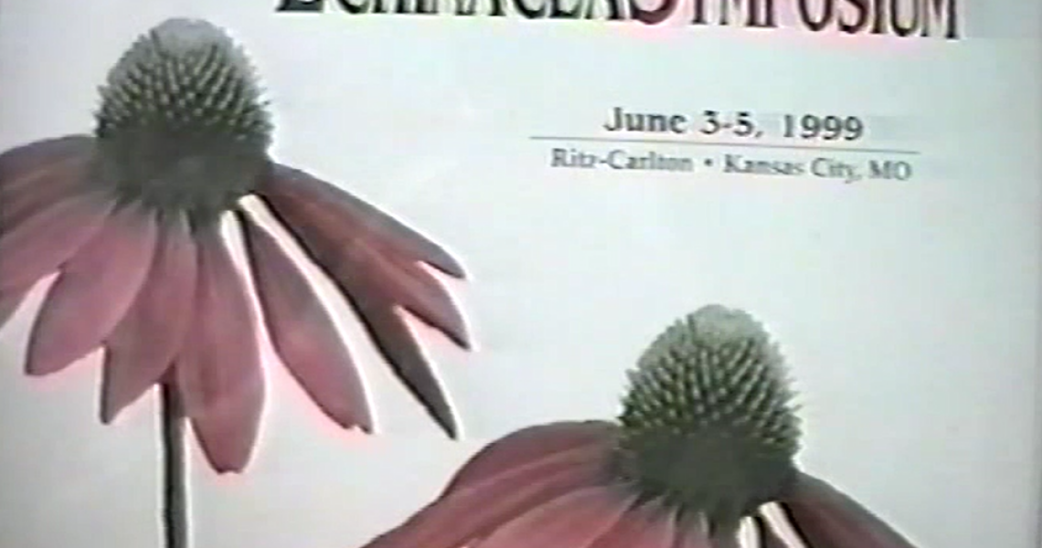 Від Чорнобиля до сучасної профілактичної медицини: науковий досвід професора ПДМУ Вікторії Почерняєвої