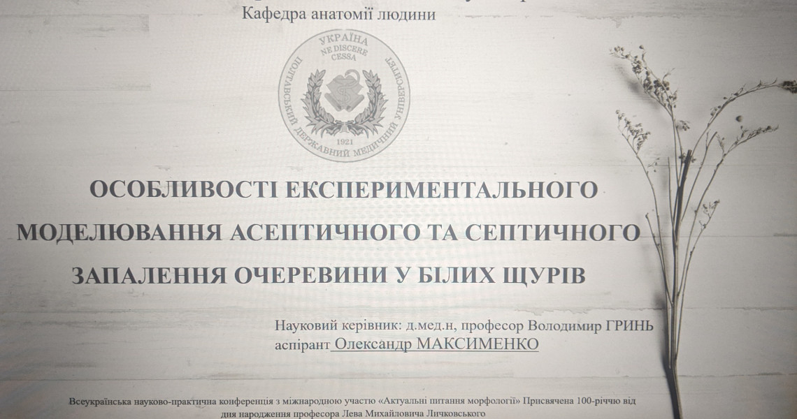 Актуальні питання морфології обговорили на Всеукраїнській науковій конференції з міжнародною участю