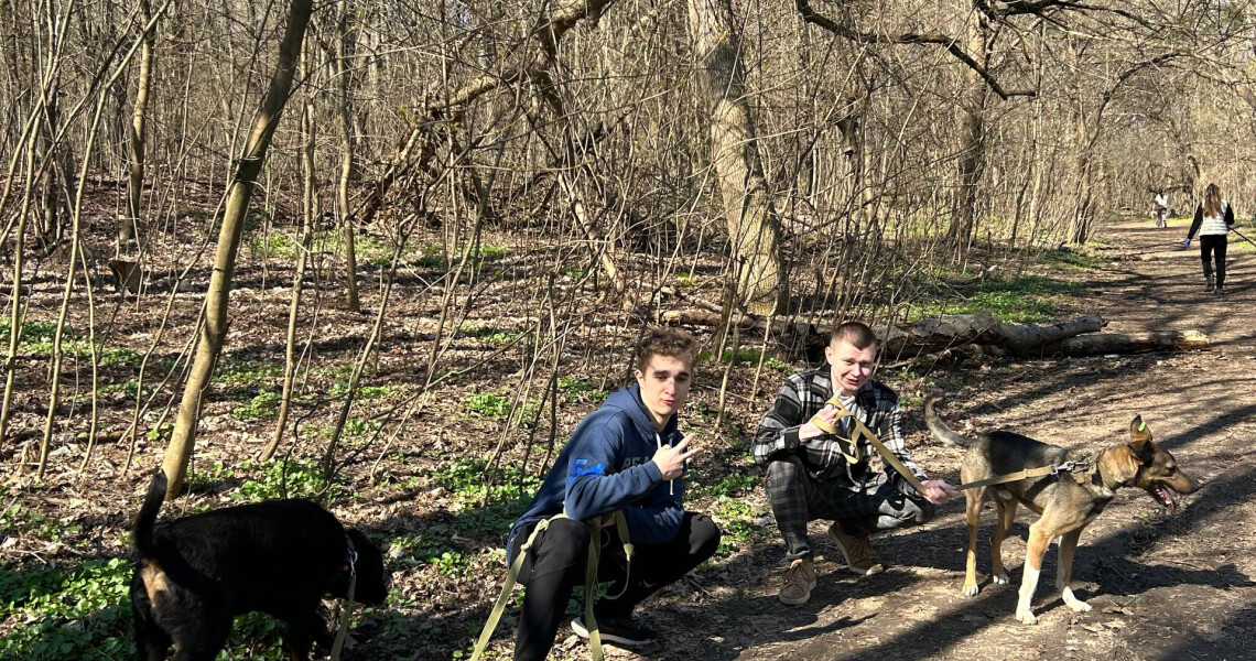 Турбота, що лікує: волонтери «Almino» СП ПДМУ подарували радість чотирилапим друзям із притулку