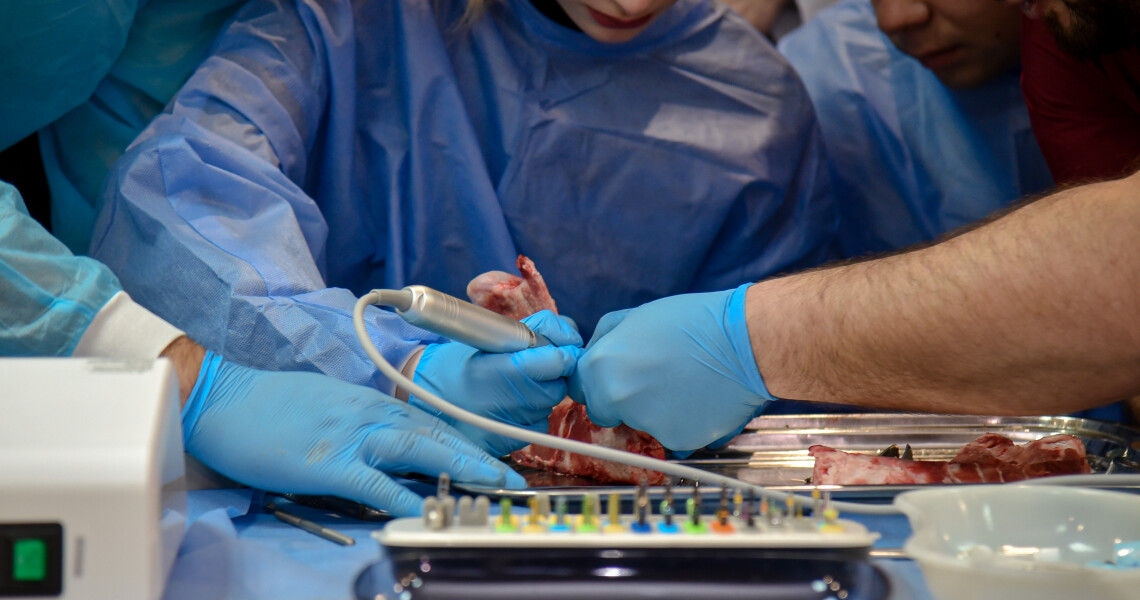 Інновації в стоматології: студенти ПДМУ опановують кісткову пластику / Innovations in Dentistry: PSMU Students Learn Bone Grafting Techniques