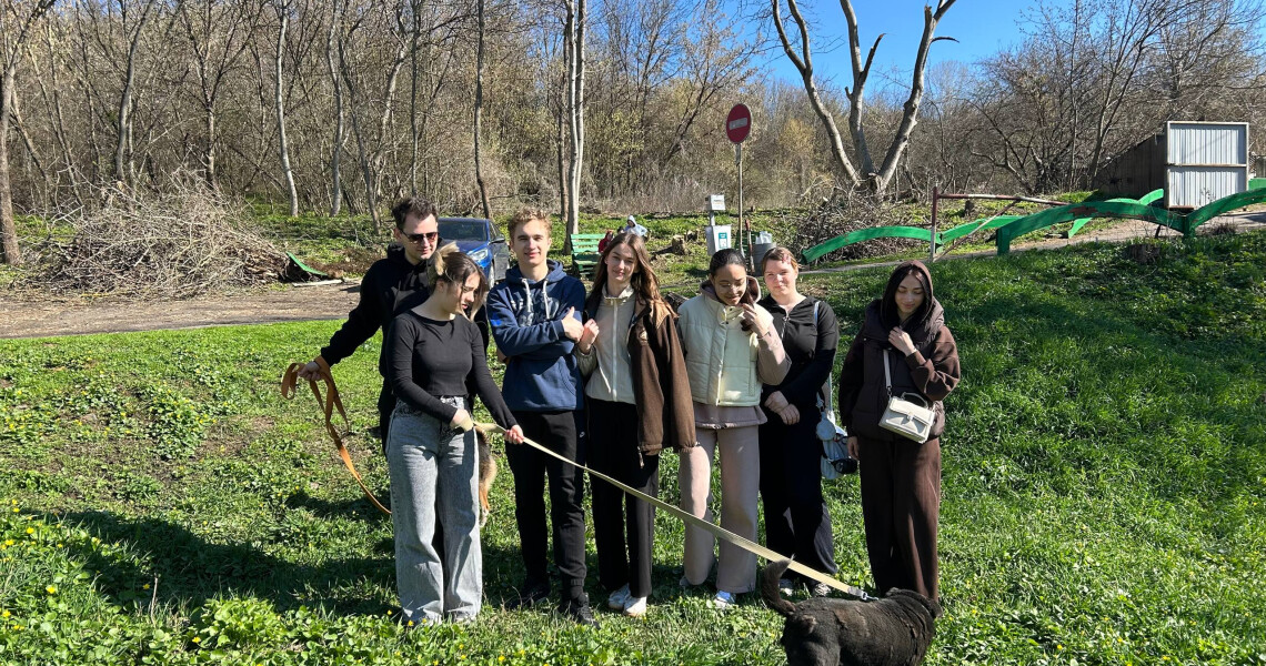Турбота, що лікує: волонтери «Almino» СП ПДМУ подарували радість чотирилапим друзям із притулку