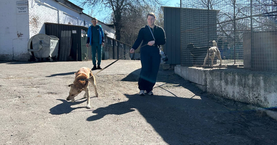Турбота, що лікує: волонтери «Almino» СП ПДМУ подарували радість чотирилапим друзям із притулку