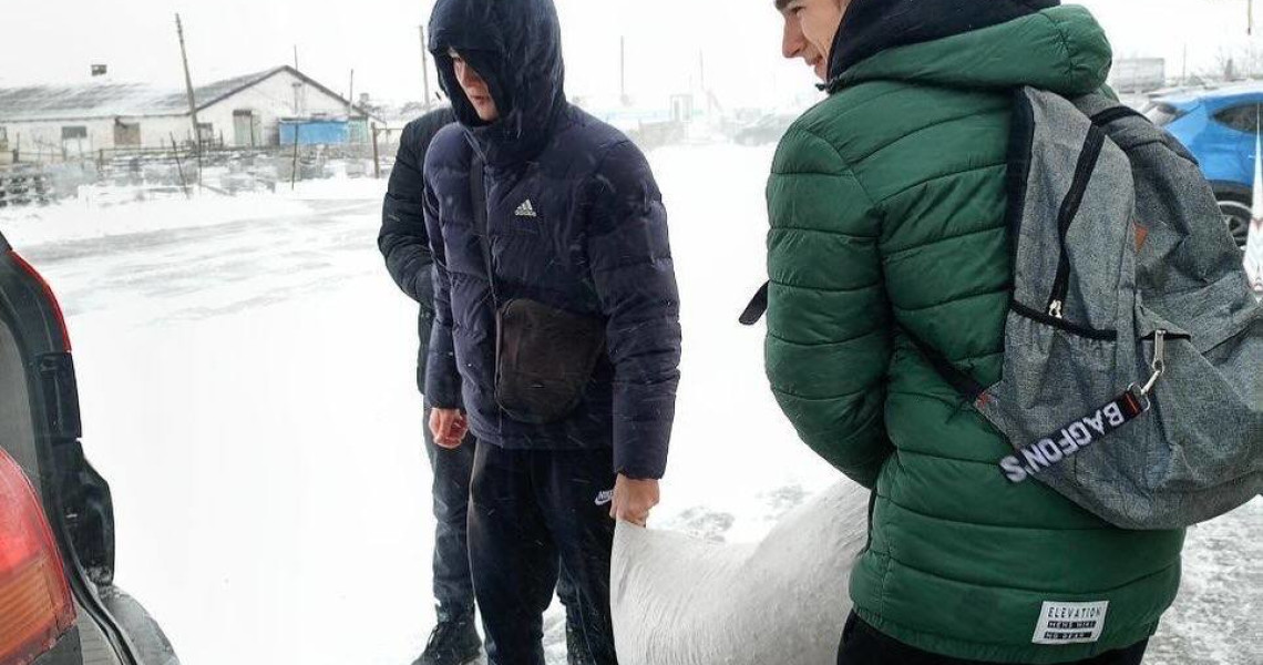 Волонтерський загін ПДМУ “Almino”: "Зігрій лапки–зроби добро!" / Volunteer Unit "Almino" at PSMU: "Warm Paws, Do Good!"