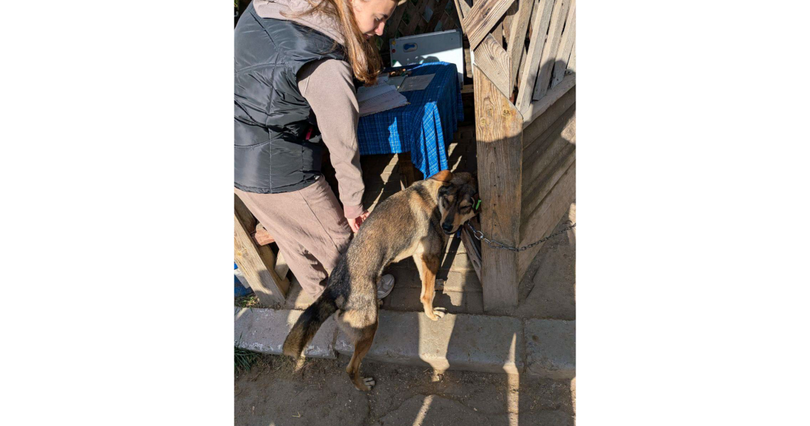 Волонтери «Almino» ПДМУ про тепло та турботу / PSMU “Almino” Volunteers Share Warmth and Care