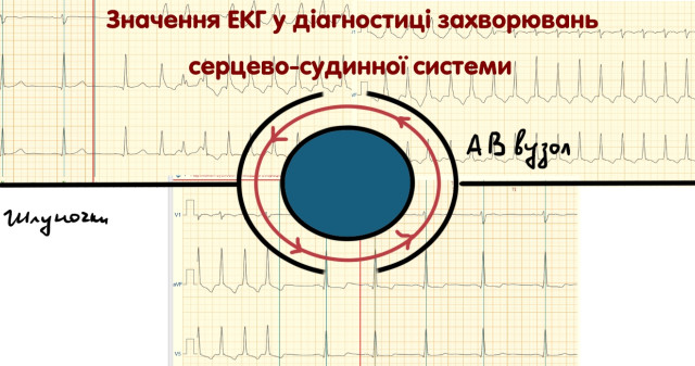 Майстер-клас на кафедрі внутрішньої медицини №1