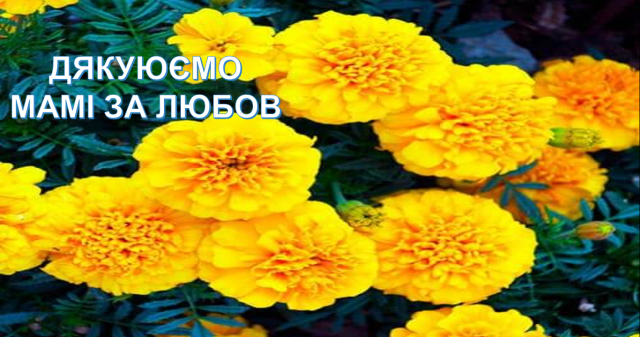 «Перекличка»: активне спілкування у форматі онлайн на актуальні теми продовжується