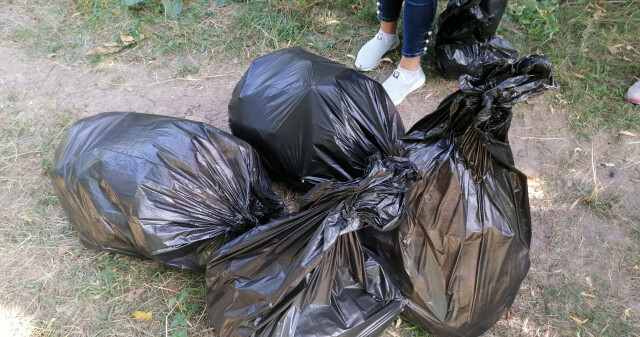 Участь у Всесвітньому дні прибирання