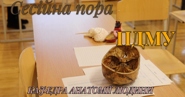 Іспит з анатомії людини — перевірка фундаментальних знань / Human Anatomy Exam — Assessing Fundamental Knowledge